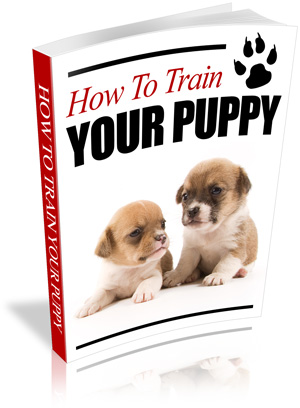 ebook