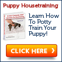 Housebreaking A Dog Or Puppy