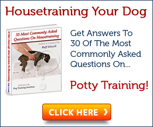 Housebreaking A Dog Or Puppy